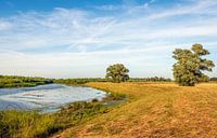 Kleurrijk Biesbosch landschap van Ruud Morijn thumbnail