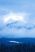 View of the snow tarts