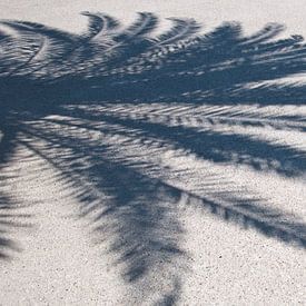 Palm shadow van Arthur Wijnen