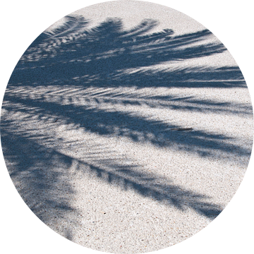 Palm shadow van Arthur Wijnen