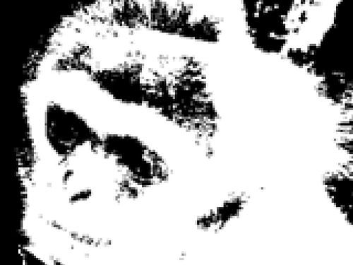 Oh my monkey by Elle Hart