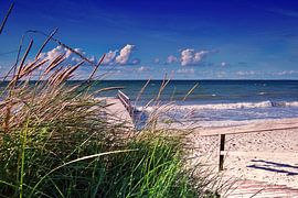 Ostsee Strand 