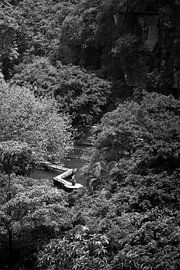 Hiking trail in the mountains in Vietnam by Laurie Bosman