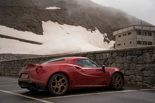 Alfa Romeo 4C Stelviopas