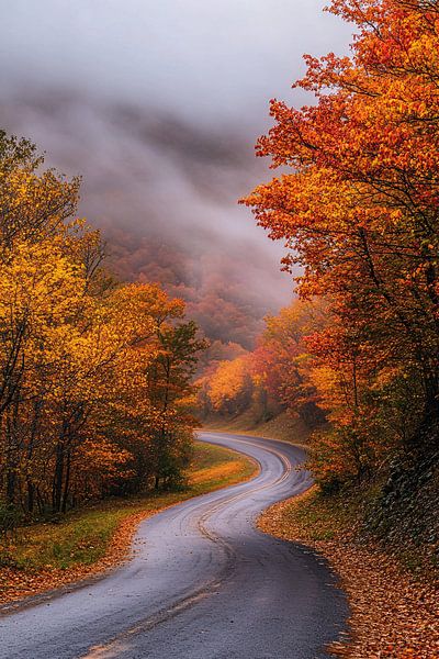 Autumn road through the mountains by Art & Soul Creations