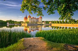 Schloss Moritzburg zur goldenen Stunde von Leon Okkenburg