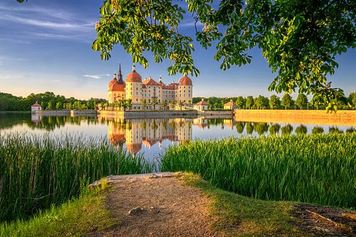 Slot Moritzburg tijdens het gouden uurtje