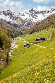 Bergmeister Alm in het Mühlwalder dal bij Lappach, Tauferer Ahrntal, Zuid-Tirol van Christian Müringer