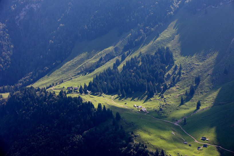 Light in the mountains by Jana Behr