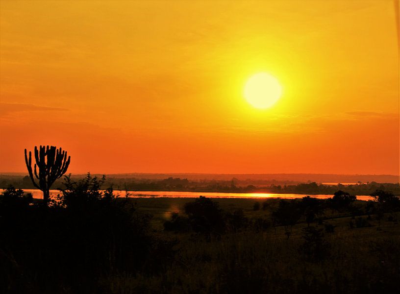 Le soleil africain par Marije Zwart