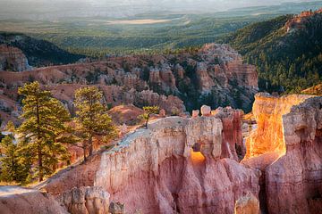 Bryce Canyon by Jan Schuler