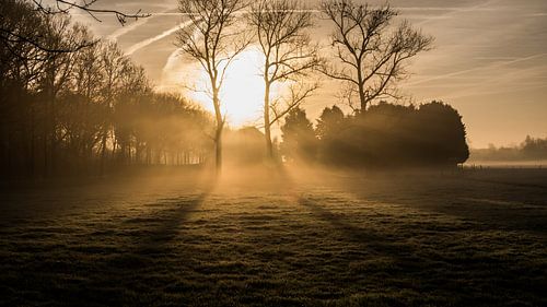 Ferme dans la brume du matin