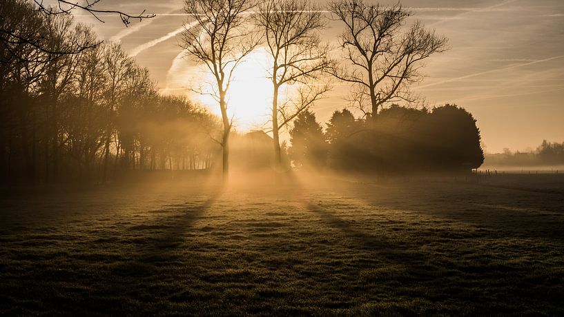 Farmhouse in the morning mist by Tim Briers