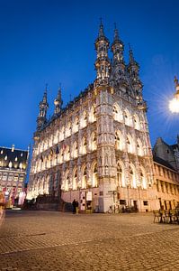 Rathaus von Leuven