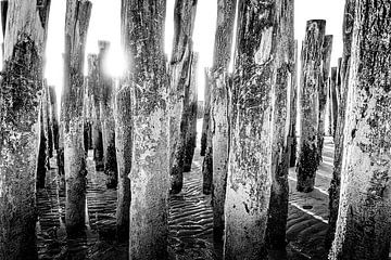 Gros plan sur des palissades noires au bord de la mer