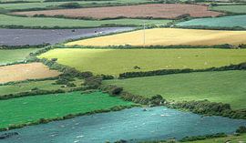 1333 Colors of England