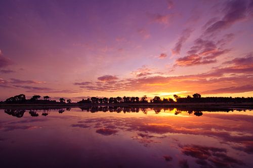 Strabrechtse Heide 115