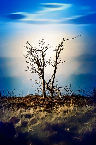Tree in the landscape