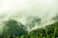 Wolken boven het bos in de Alpen van Sjoerd van der Wal Fotografie thumbnail