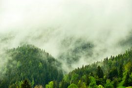 Wolken über dem Wald in den Alpen von Sjoerd van der Wal Fotografie