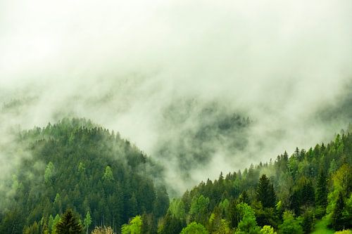 Wolken boven het bos in de Alpen