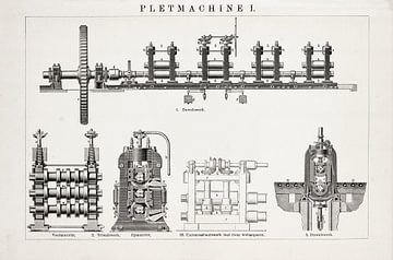 Gravure Vintage Crusher I sur Studio Wunderkammer