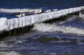 Baltic Sea by Thomas Jäger