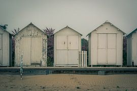 Strandhäuser von Adri Vollenhouw