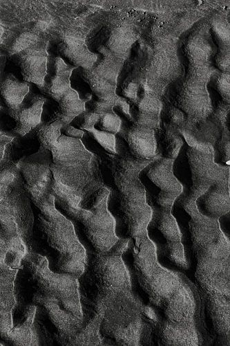 The beach of Castricum aan Zee, North Holland.