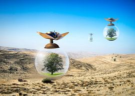 glass sphere by Christiane Calmbacher