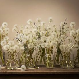 Dandelion Fluff, Quiet Beige still life by By Marjolein Design