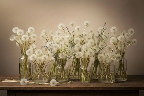 Paardenbloempluis, Rustig Beige stilleven van By Marjolein Design