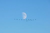 Vorbeiflug am Mond