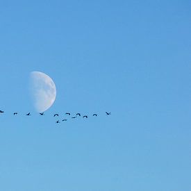 Flyby on the moon sur georgfotoart