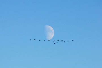 Flyby on the moon van georgfotoart