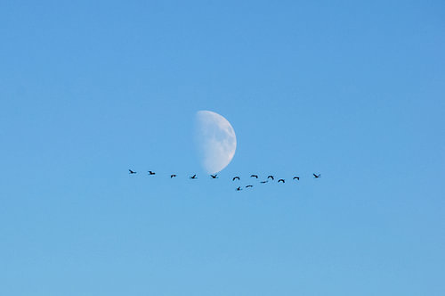 Flyby on the moon