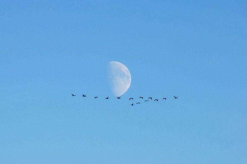 Vorbeiflug am Mond von georgfotoart