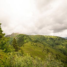 der Weg zum Gipfel von Alena Holtz