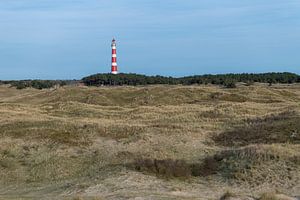 Vuurtoren van het Waddeneiland Ameland met duinen