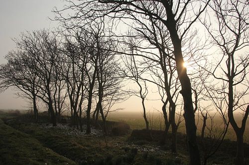Texel Landschap 049