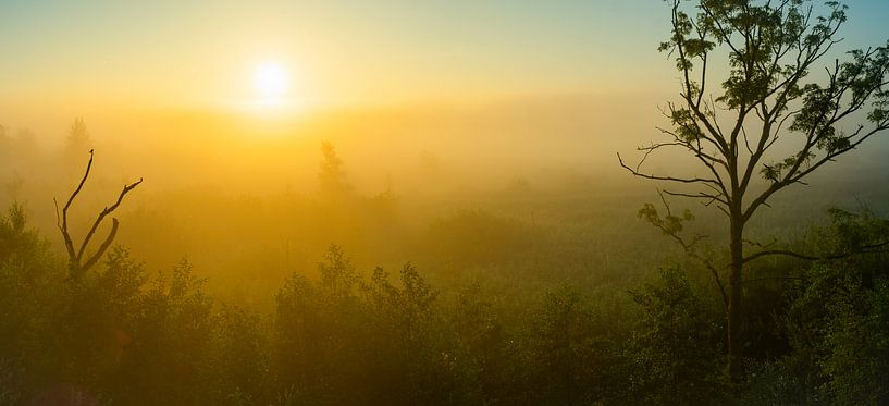 Nationaal Park de Oude Venen, Friesland par Domenique van der Horst