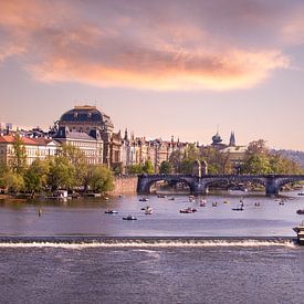 Maurice de Ruiter photo de profil