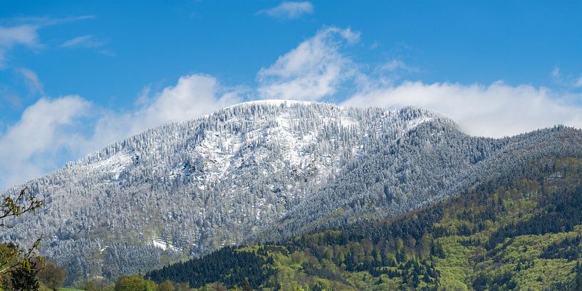Le Belchen vu de la vallée de Münster par Photo Art Thomas Klee