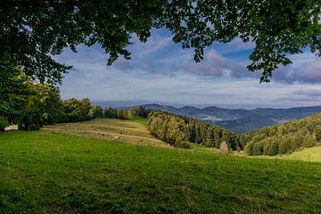 Prachtig wandelparadijs op de Rennsteig/Thüringerwoud van Oliver Hlavaty