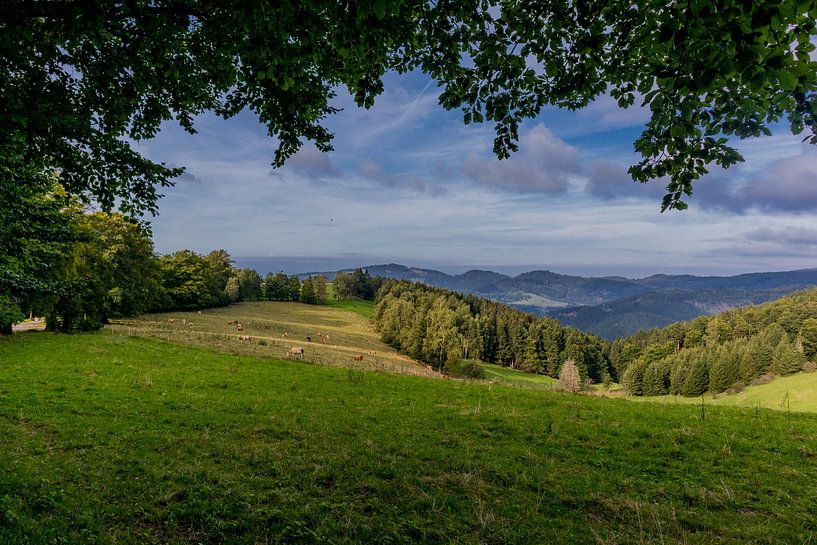 Un beau paradis pour les randonneurs sur le Rennsteig/Forêt de Thuringe par Oliver Hlavaty