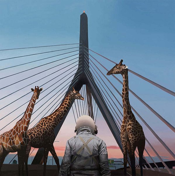 Zakim par erikaktus gurun
