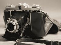 Retro Beauty - Zeiss Ikon Ikonta