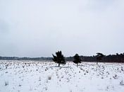 Een typische Nederlandse winter van Lucas van Gemert thumbnail