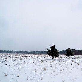 Un hiver néerlandais typique sur Lucas van Gemert