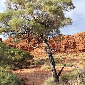 Uluru sur Matthias Brix